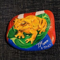 Coqui De Puerto Rico!