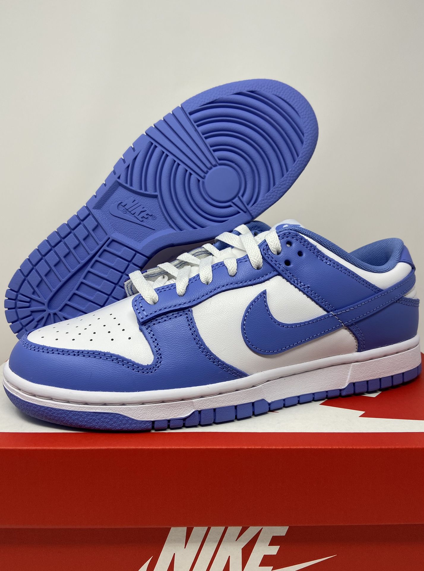 Nike Polar Blue Dunks