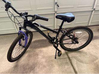 Girls schwinn bike