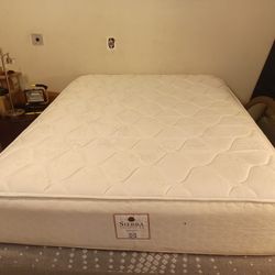 Sealy Queen Mattress And Box Spring 
