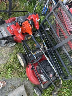 Lawn Mowers And Weed Wackers