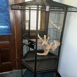 Full size Bird Cage