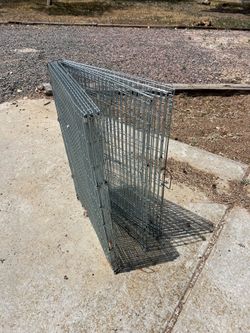 Portable dog pen
