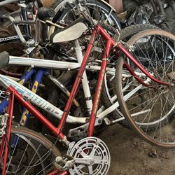 Bikes Schwinn
