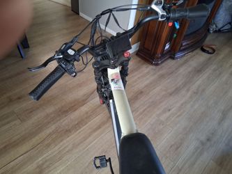 Culture Ebike