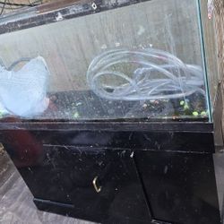 55 Gallon Fish Tank 