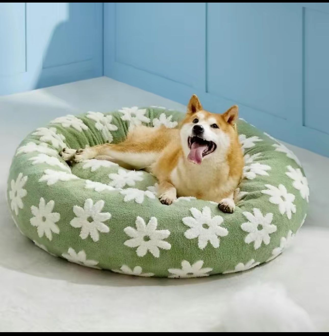 Cama Para Perro 