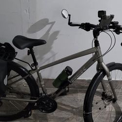 Trek Verve 3
