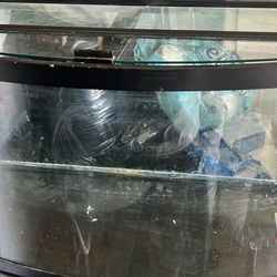 50 Gallon Fish Tank 