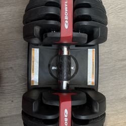 BowFlex 552 Adjustable Dumbbells
