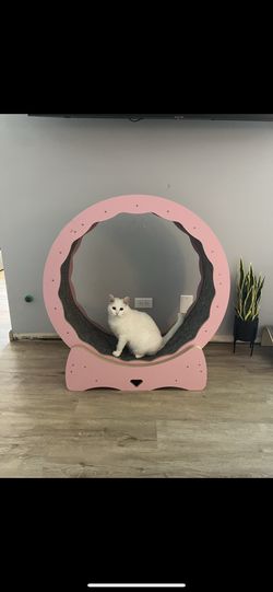 pink cat exercise wheel treadmill