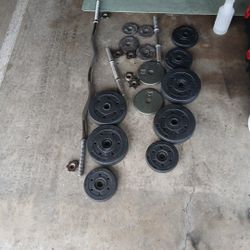 Weights & Curl Bar