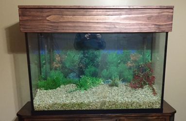 Aquarium