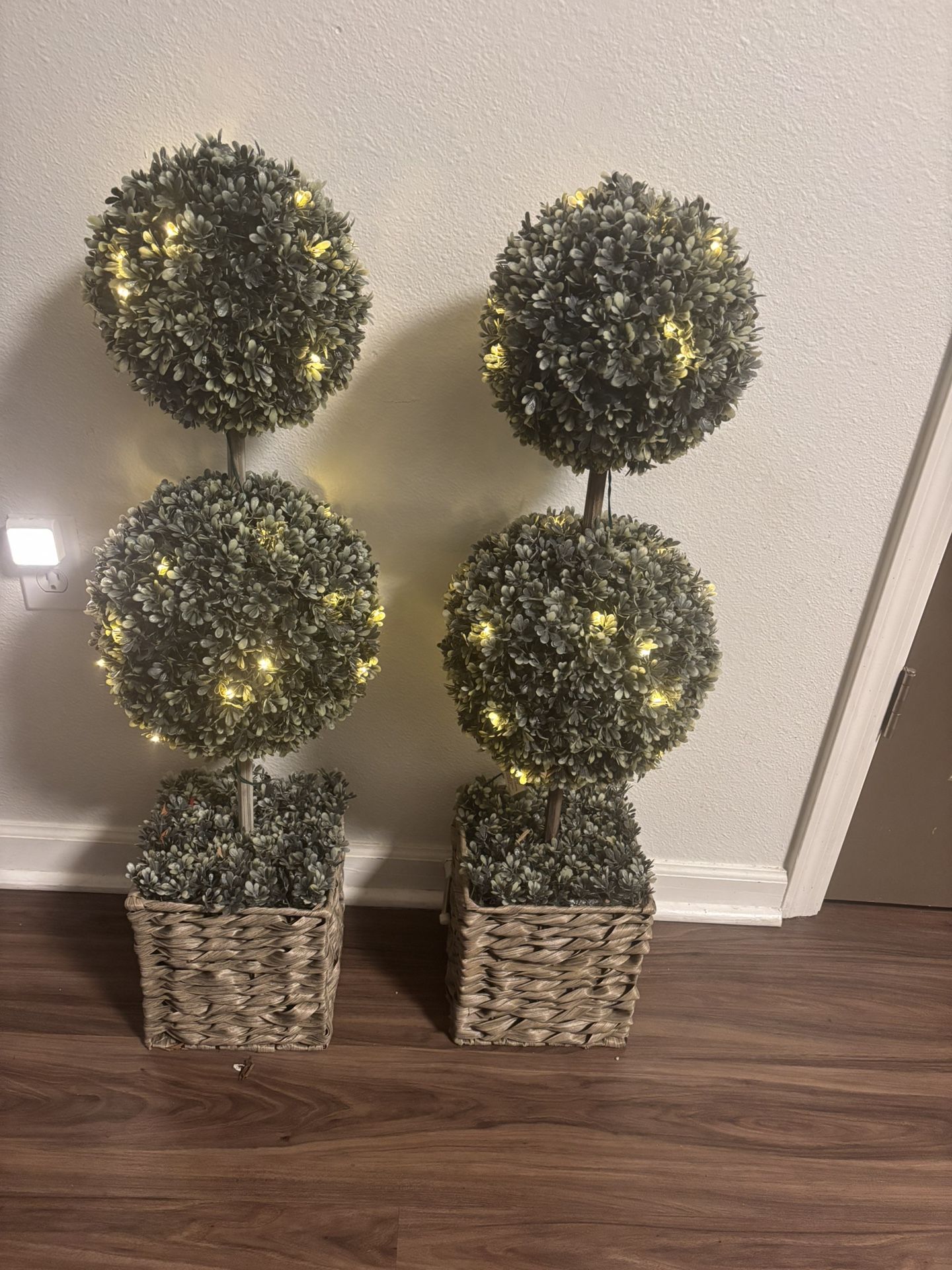 Two Lighted Topiary Plants