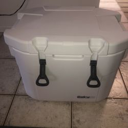 Coleman Esky 55. Bear Resistant