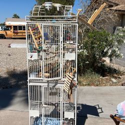 Bird Cage