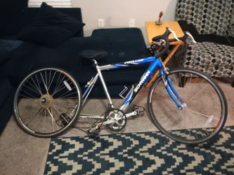 Race bike