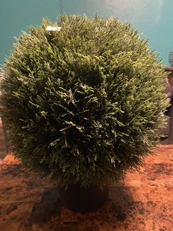 Artificial Cedar Ball In Pot UV (20") - Vickerman