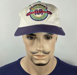 Vintage American Needle Michigan International Speedway Snapback Hat Purple 90s