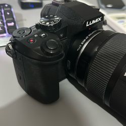 Panasonic G80.