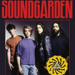 SOUNDGARDEN LIVE CONCERT DVD's