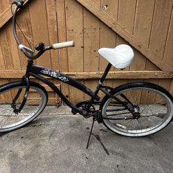 Rusty But Trusty Beach Cruiser