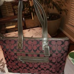 Coach Handbag And Wrislet