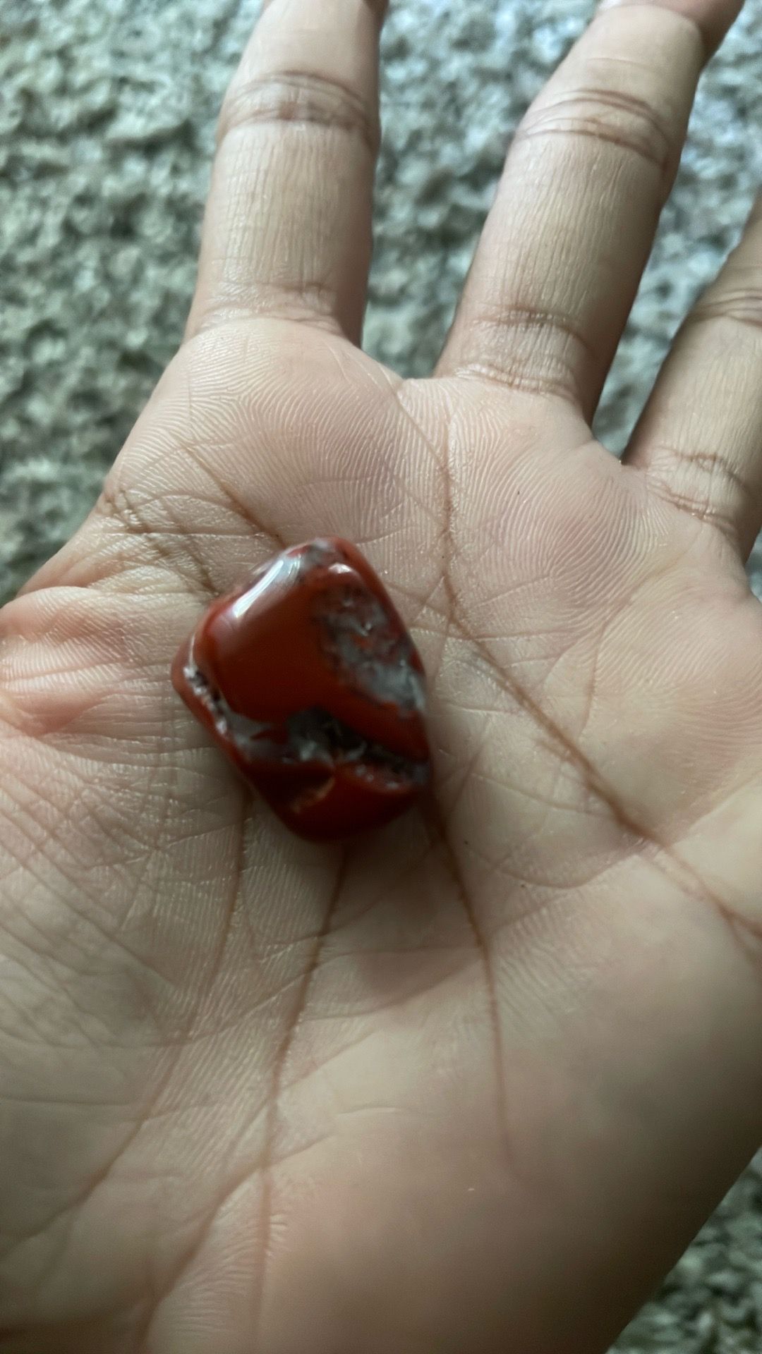Red grasper