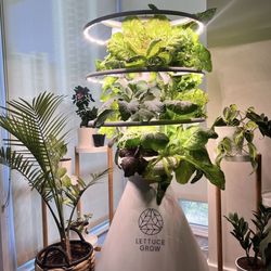 Lettuce Grow 18 plant indoor/outdoor tower with grow lights!