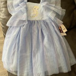 Frozen and Princess Dress