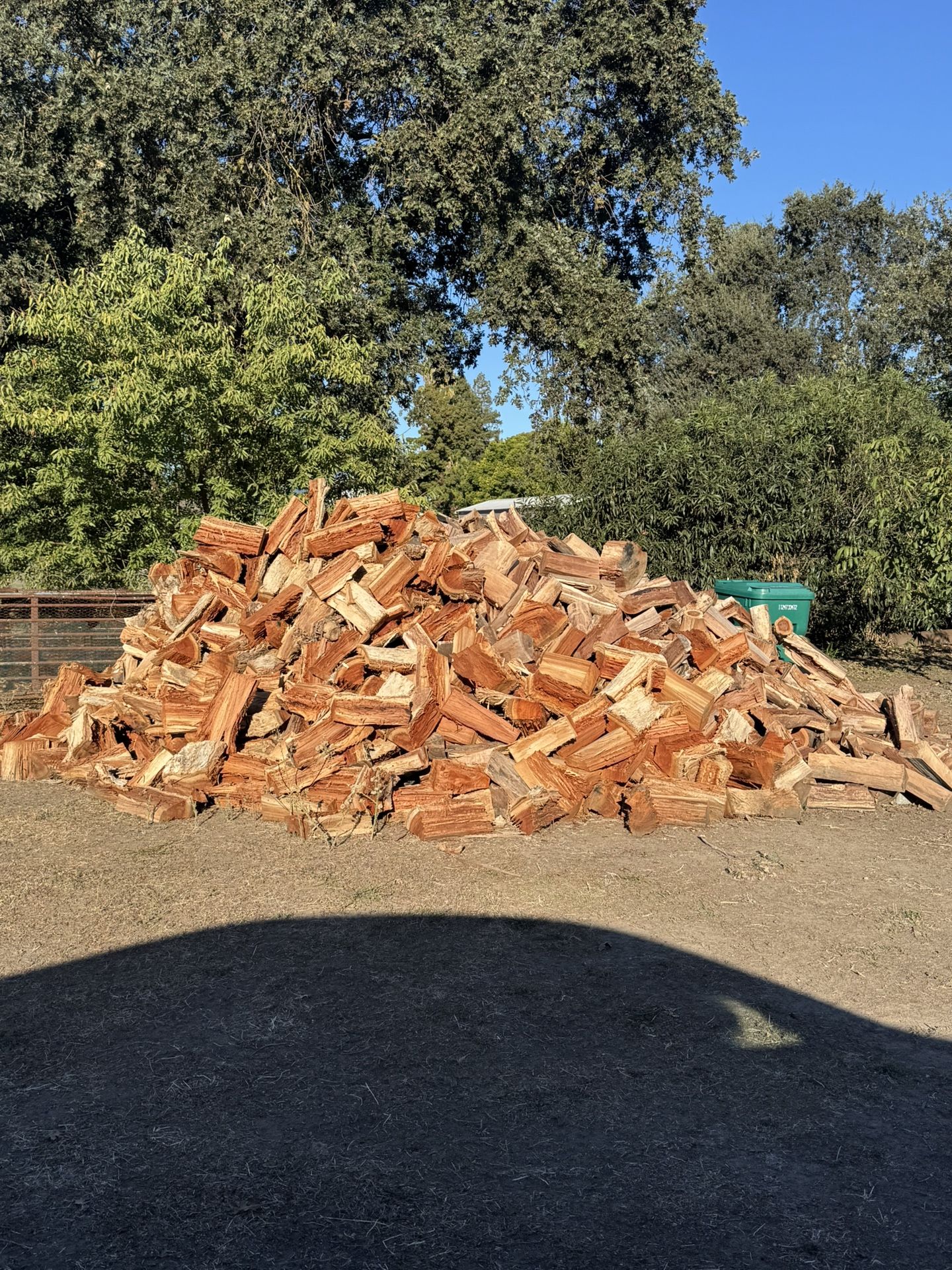 Seasoned Eucalyptus Firewood 🪵 🔥