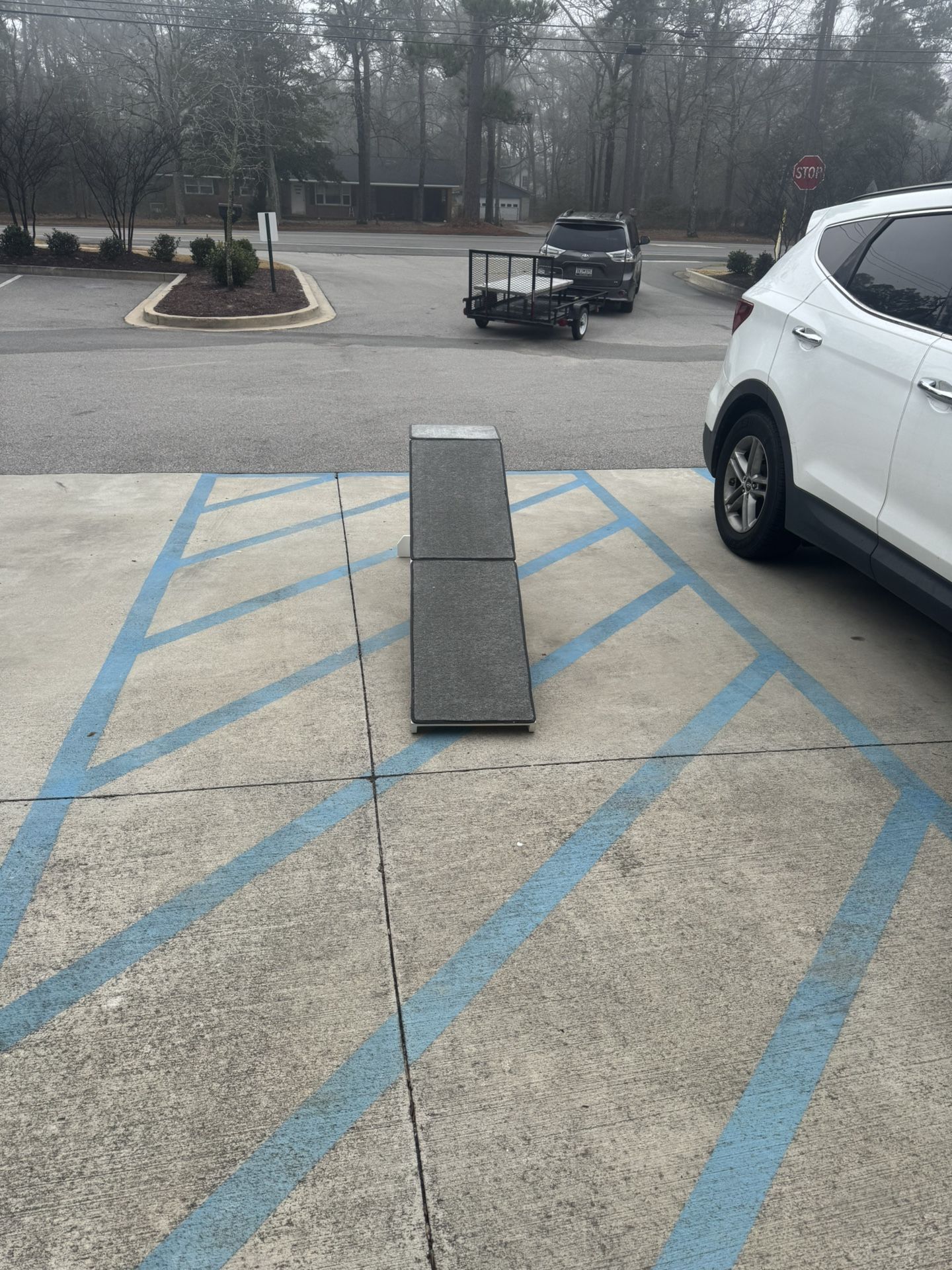 Dog Ramp