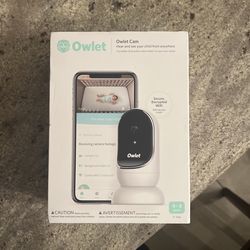 Owlet 