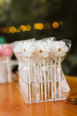 Cake Pop Stands, Acrylic, 21-holes, 4 Avail