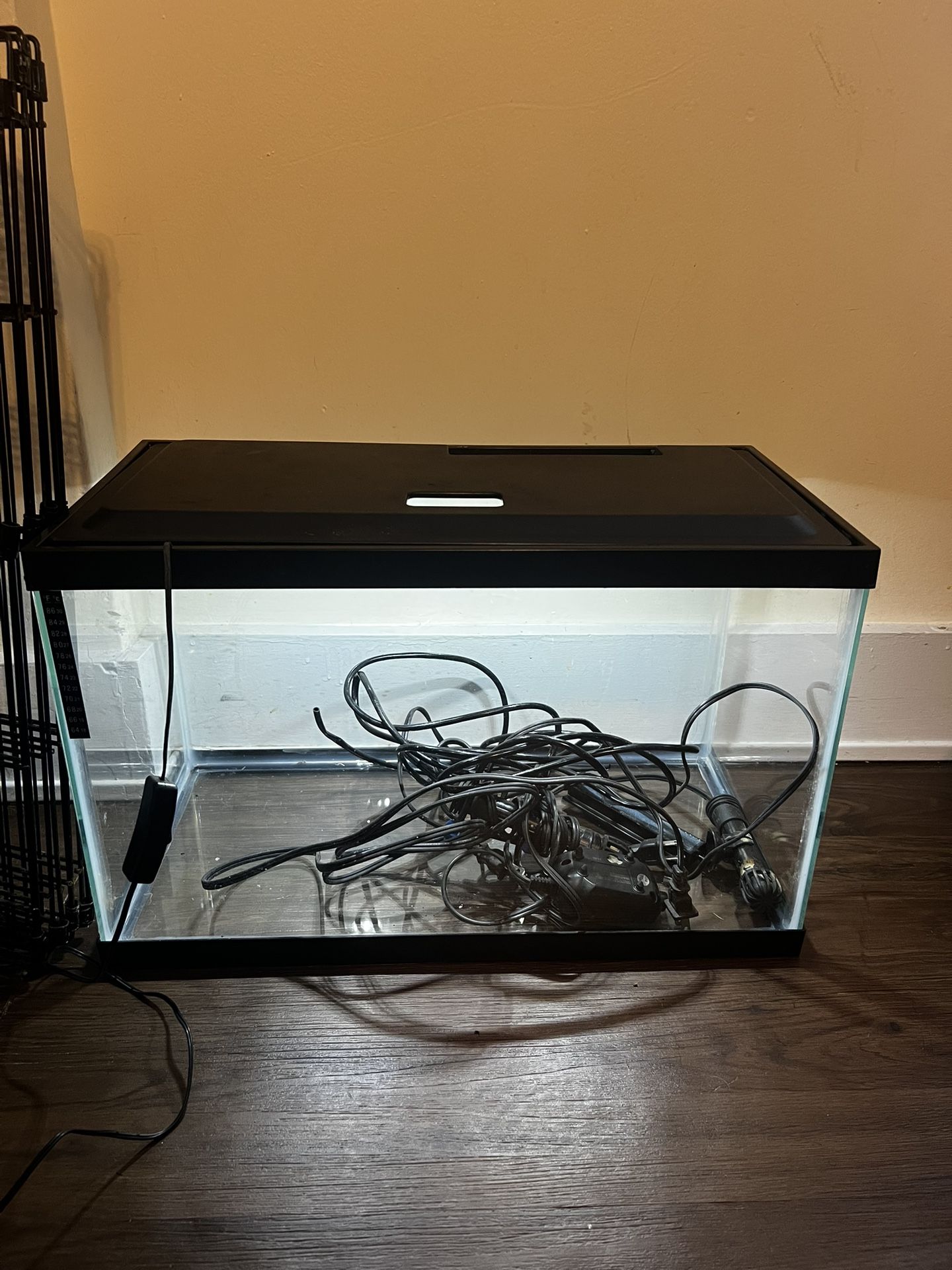 10 Gallon Tank