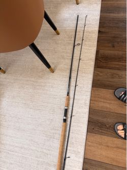G Lions Salmon Spinning Rod 9’ 10-25lb