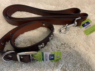 Leather Dog Collar and Leash