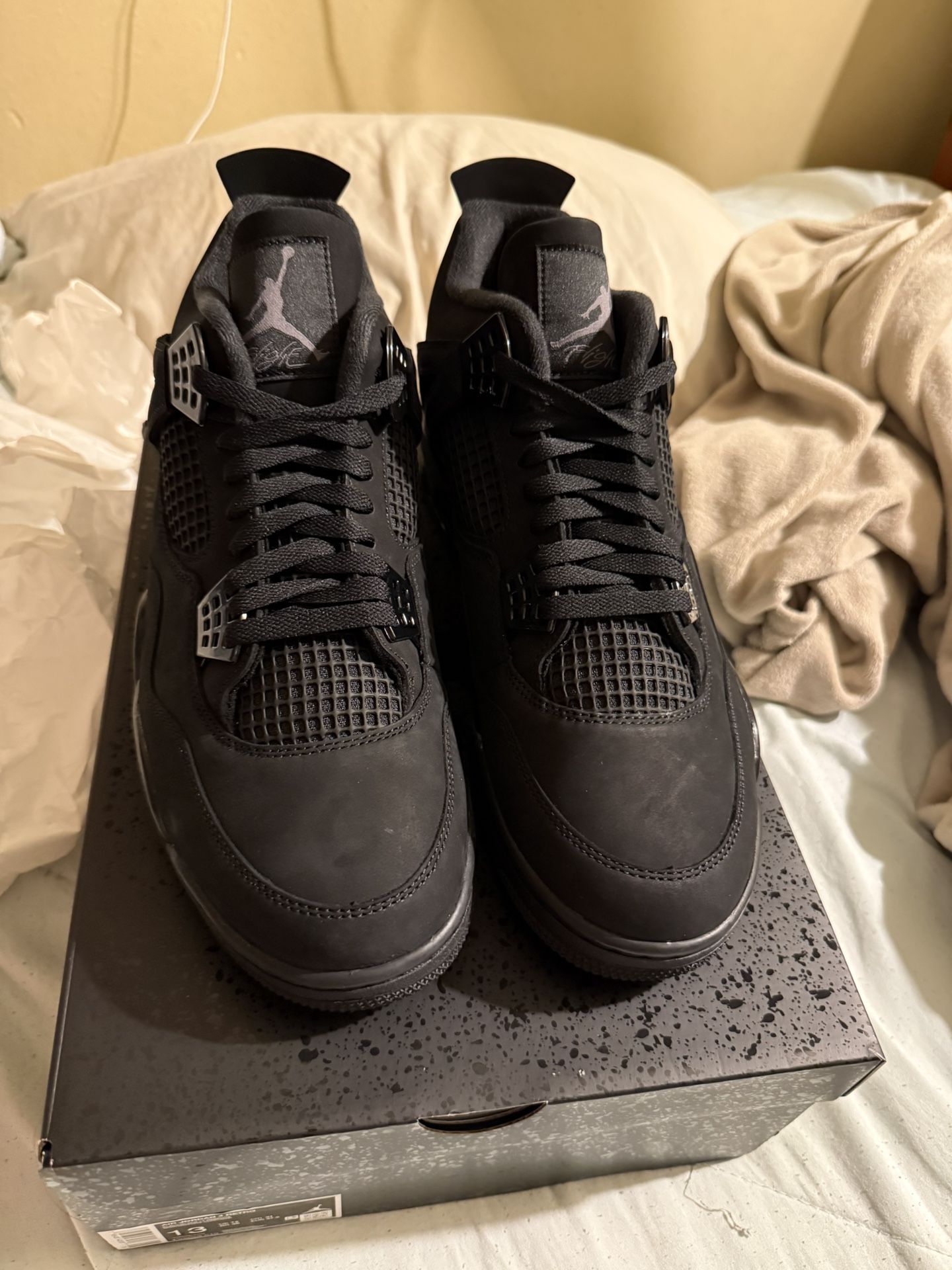 Jordan 4 Black Cats (2025)