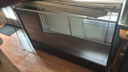 Display case