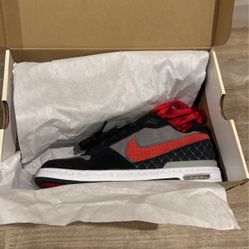 Paul Rodriguez Nike Zoom Air Low Size 9.5 