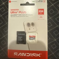 Sandisk 256 Gb 