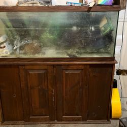 55 or 60 Gallon Fish tank 