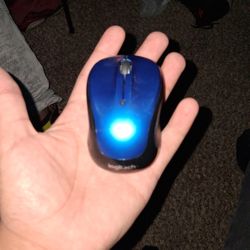 Logitech Mouse