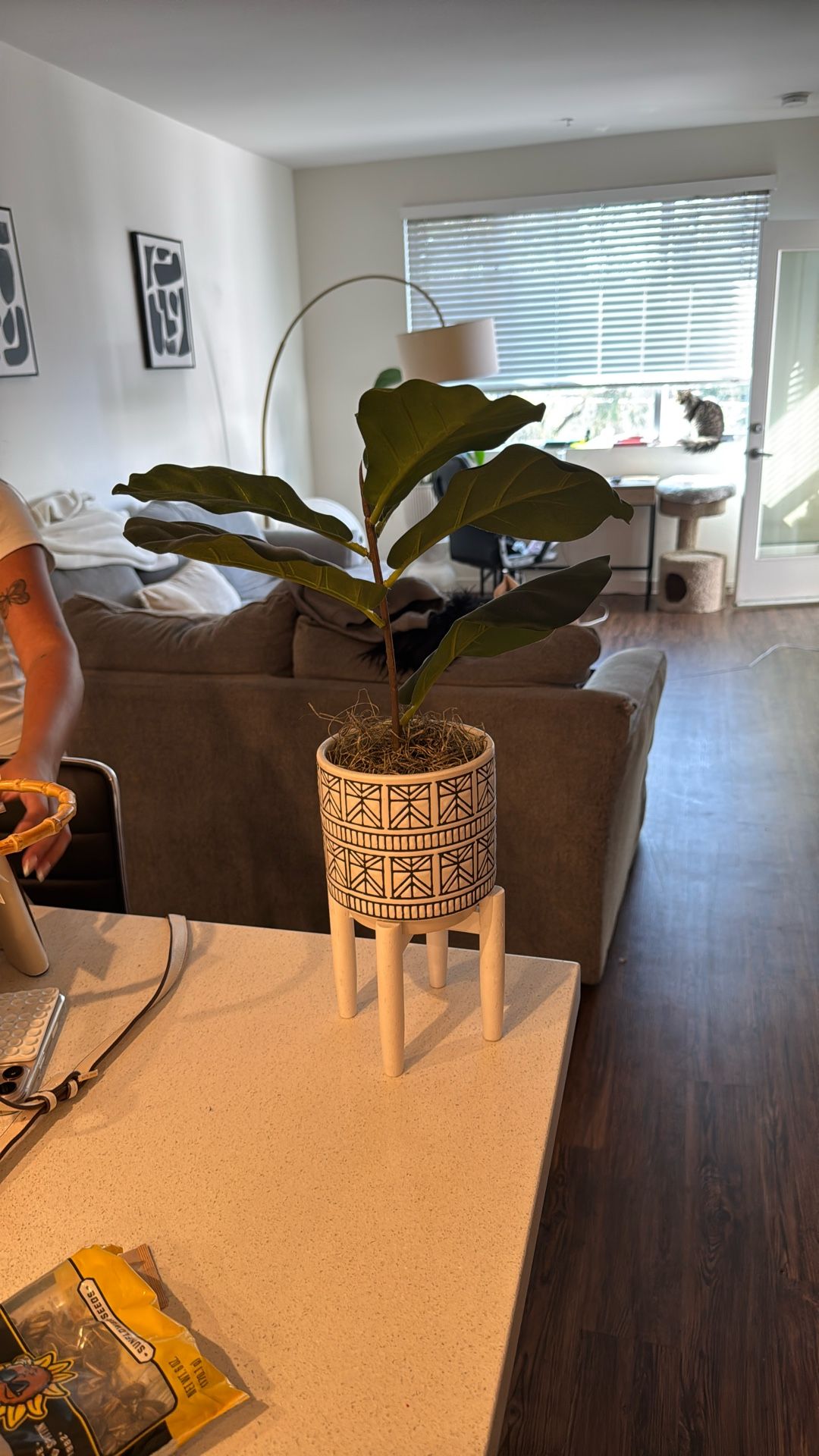 Fake Plant And Vase