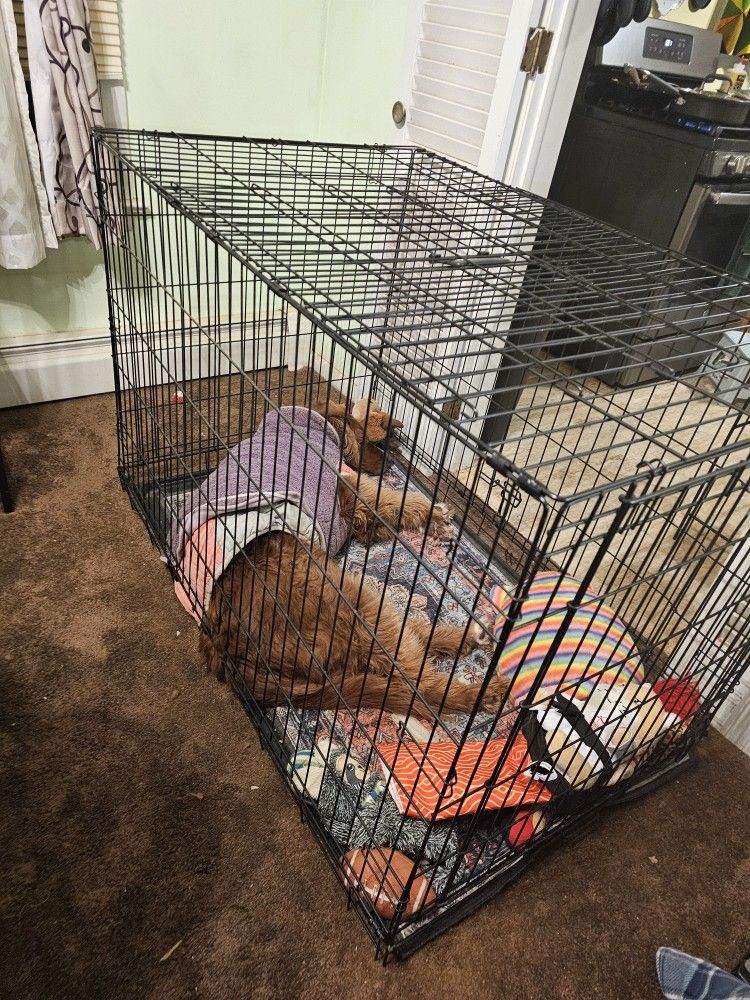 DOG CRATE