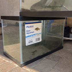 Glass Aquarium 