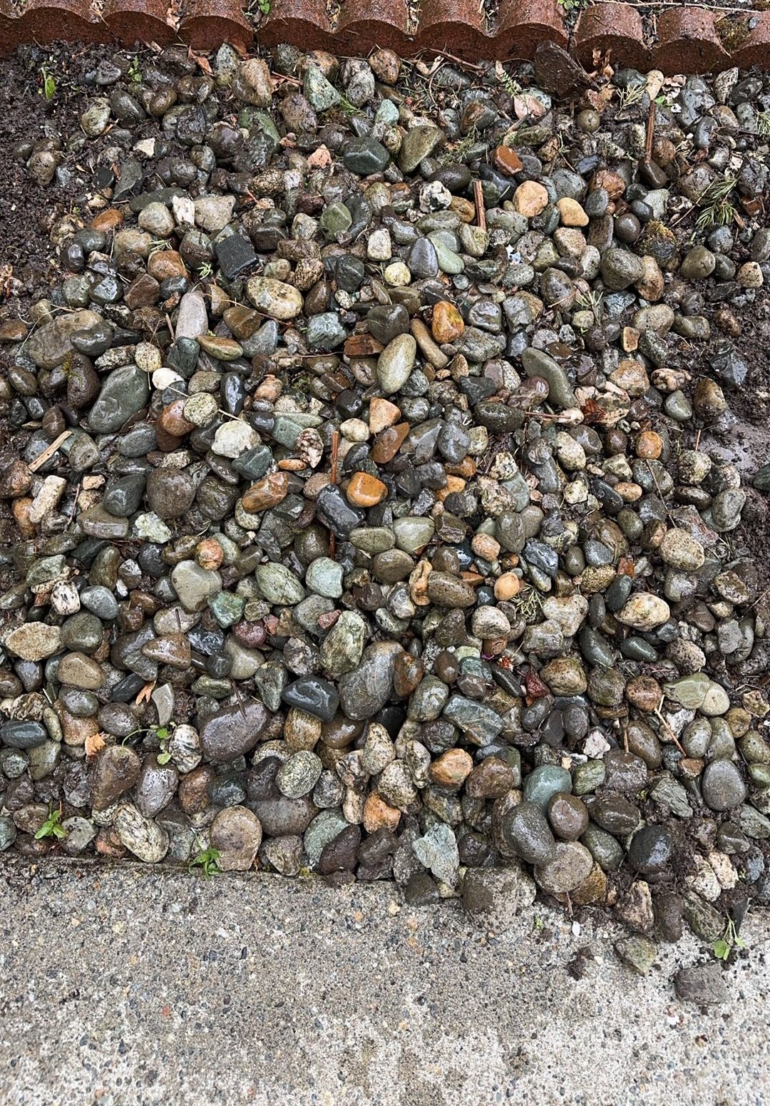rocks