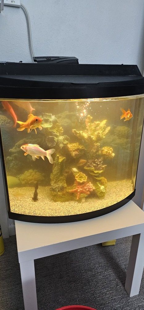 Aquarium Tank