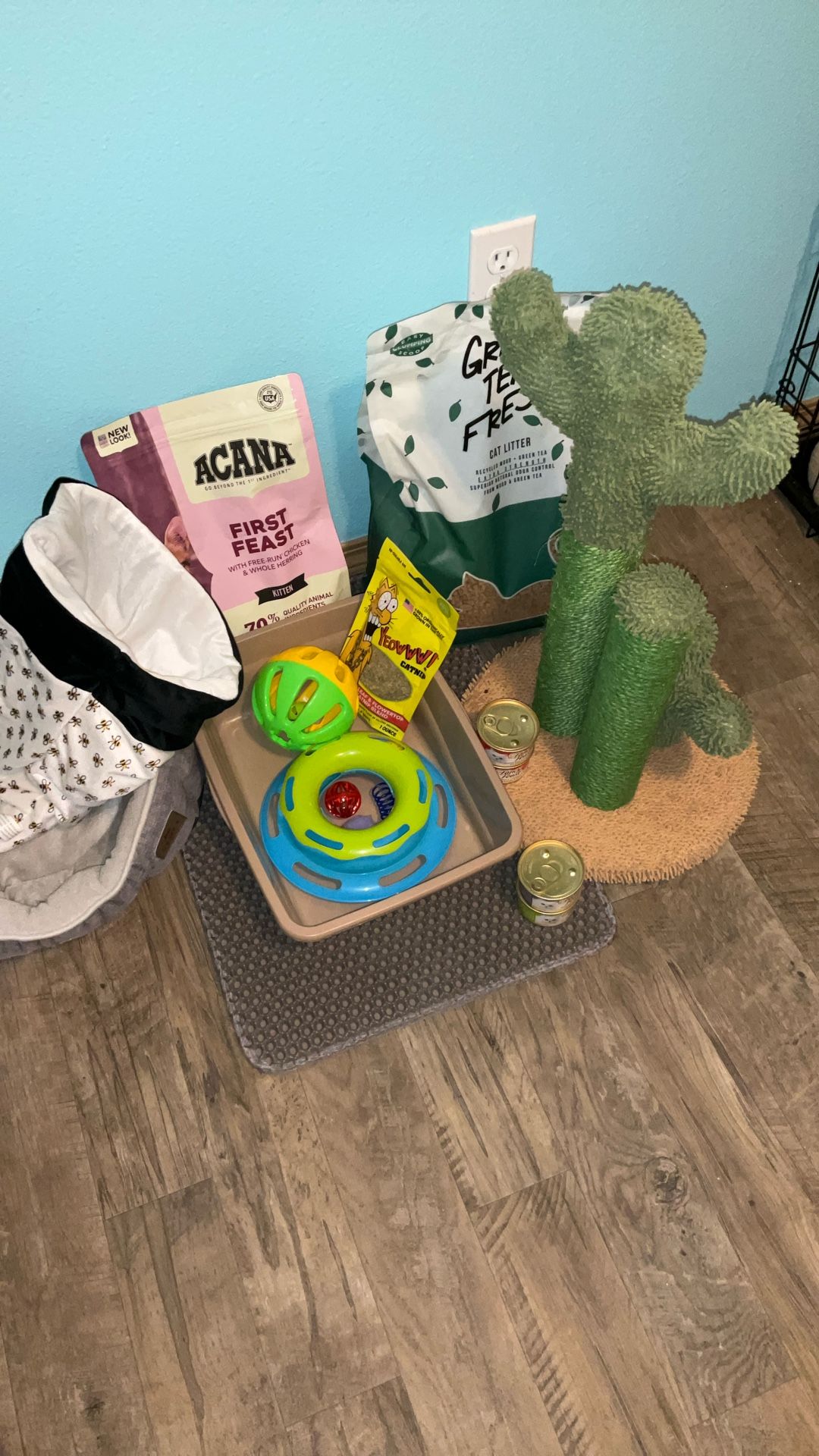 Kitten Bundle Supplies