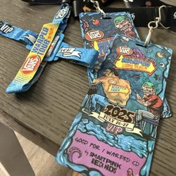 Vans Warped Tour Long Beach 2025 (2 VIP Tickets)